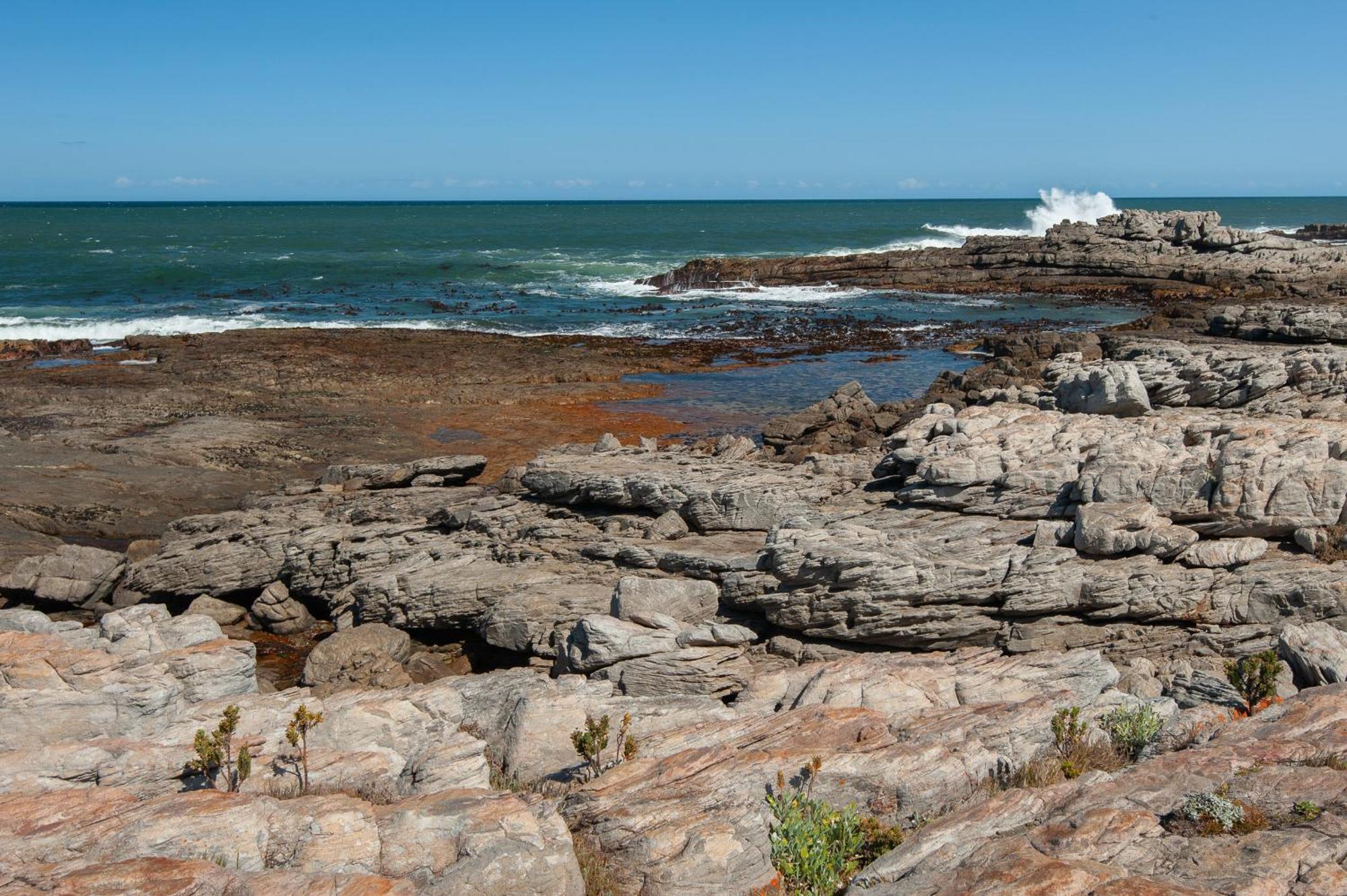 49 Whalerock Hermanus Exterior foto