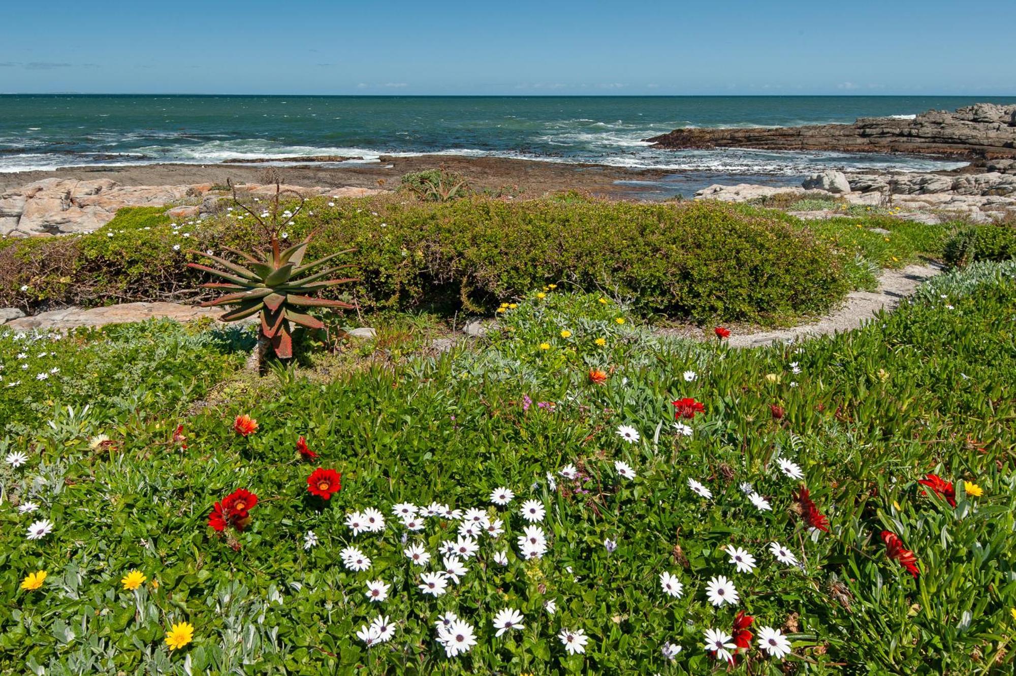 49 Whalerock Hermanus Exterior foto